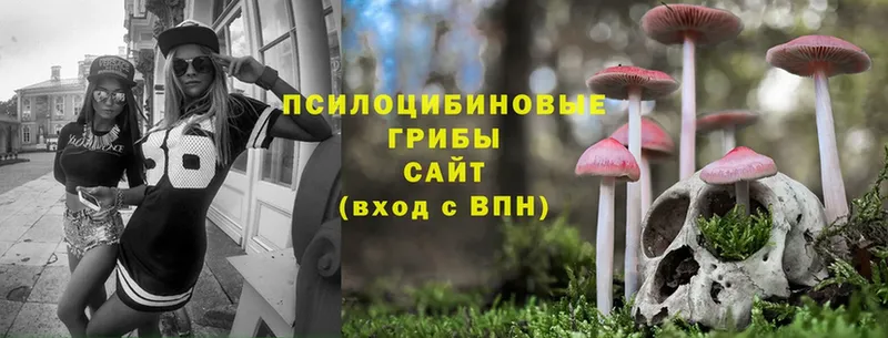 omg вход  Называевск  Псилоцибиновые грибы Cubensis  как найти закладки 